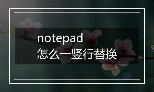 notepad怎么一竖行替换