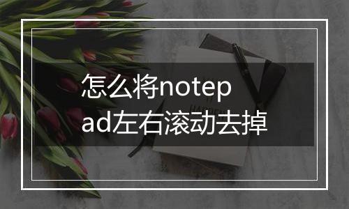 怎么将notepad左右滚动去掉