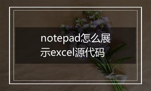notepad怎么展示excel源代码