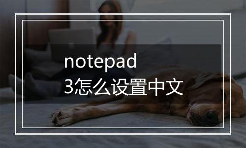 notepad3怎么设置中文