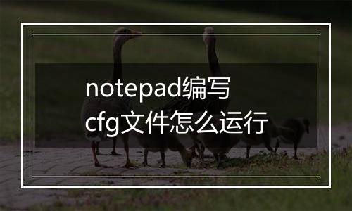 notepad编写cfg文件怎么运行