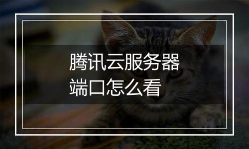 腾讯云服务器端口怎么看