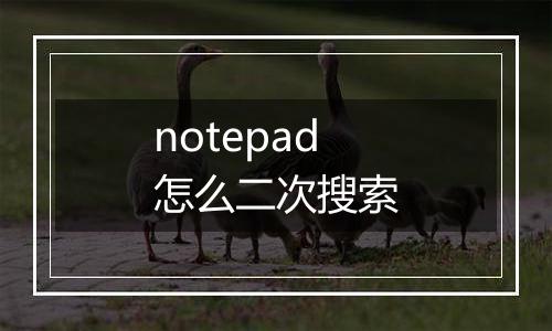 notepad怎么二次搜索