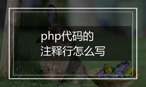 php代码的注释行怎么写