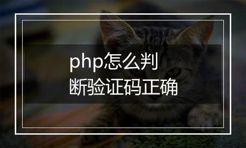 php怎么判断验证码正确
