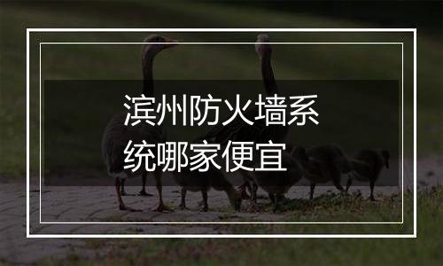滨州防火墙系统哪家便宜