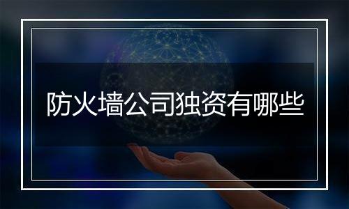 防火墙公司独资有哪些