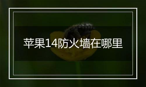 苹果14防火墙在哪里
