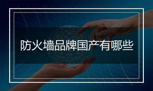 防火墙品牌国产有哪些