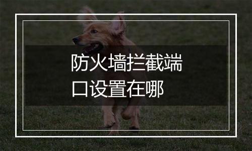 防火墙拦截端口设置在哪