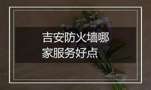 吉安防火墙哪家服务好点