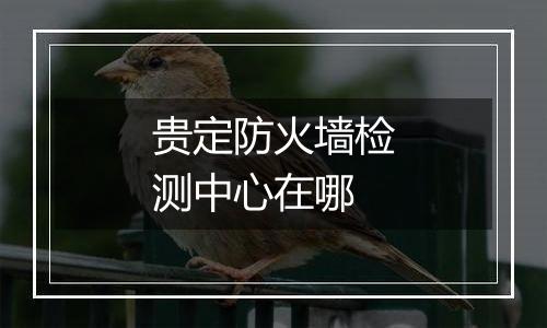 贵定防火墙检测中心在哪