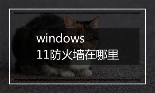 windows 11防火墙在哪里