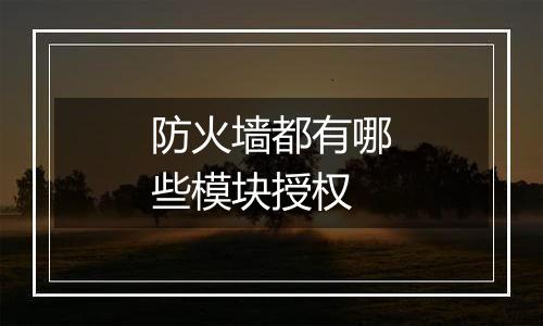防火墙都有哪些模块授权