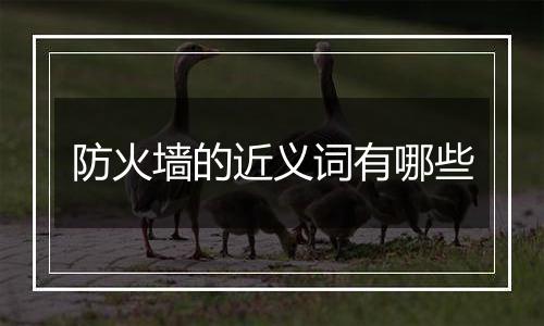防火墙的近义词有哪些
