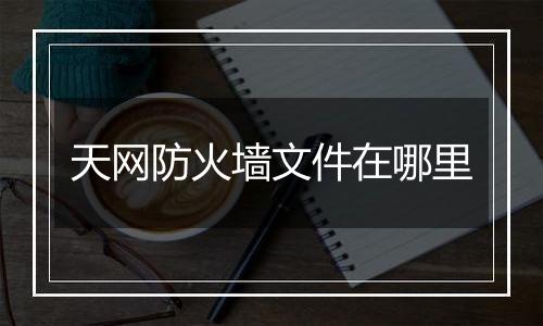 天网防火墙文件在哪里