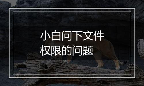 小白问下文件权限的问题