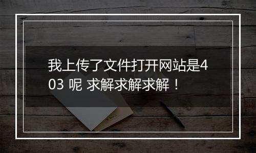 我上传了文件打开网站是403 呢 求解求解求解!