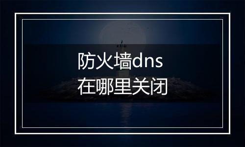 防火墙dns在哪里关闭