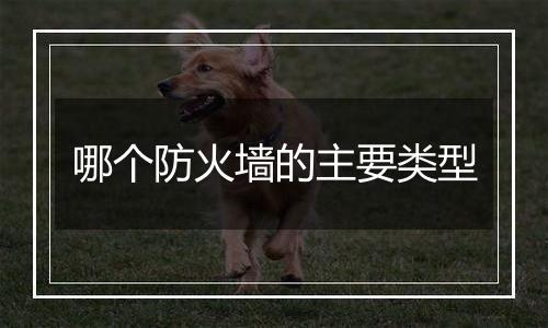 哪个防火墙的主要类型