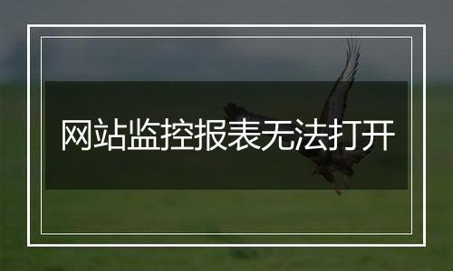 网站监控报表无法打开