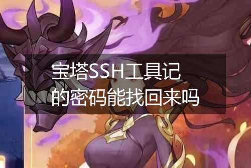 宝塔SSH工具记的密码能找回来吗