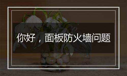 你好,面板防火墙问题