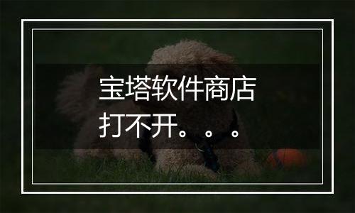 宝塔软件商店打不开。。。