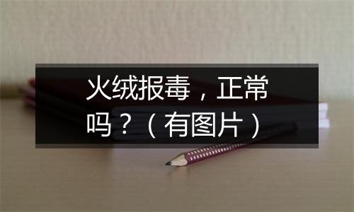 火绒报毒，正常吗？（有图片）