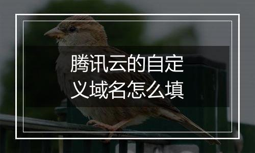 腾讯云的自定义域名怎么填