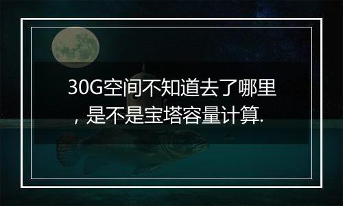 30G空间不知道去了哪里,是不是宝塔容量计算.