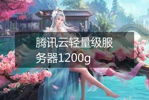 腾讯云轻量级服务器1200g