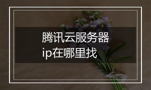腾讯云服务器ip在哪里找