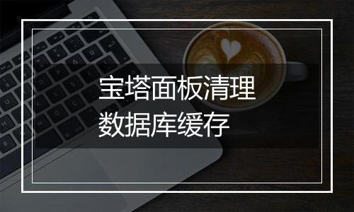 宝塔面板清理数据库缓存
