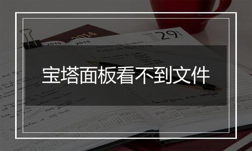 宝塔面板看不到文件