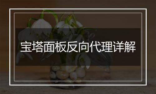 宝塔面板反向代理详解