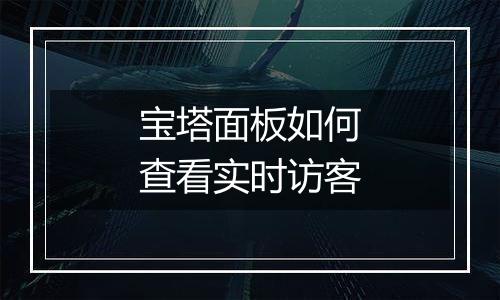 宝塔面板如何查看实时访客