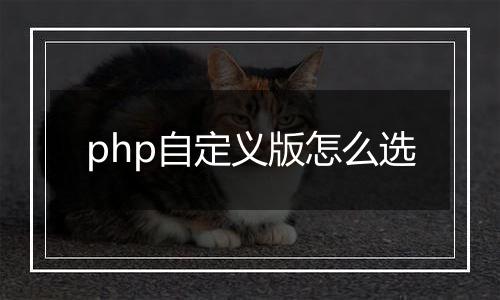 php自定义版怎么选