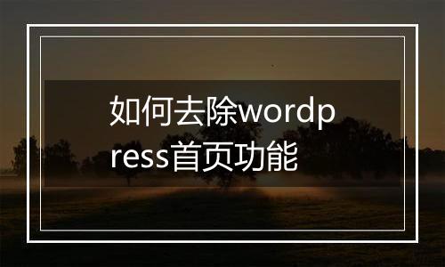 如何去除wordpress首页功能