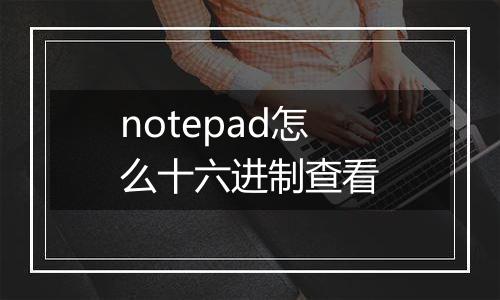notepad怎么十六进制查看