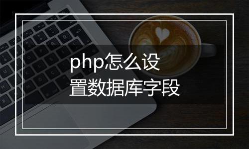 php怎么设置数据库字段