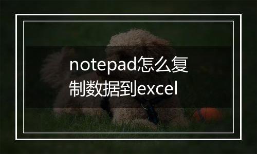 notepad怎么复制数据到excel