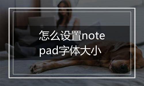 怎么设置notepad字体大小