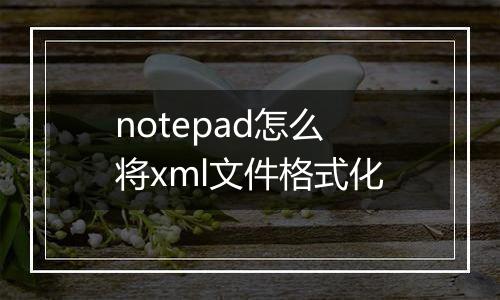 notepad怎么将xml文件格式化