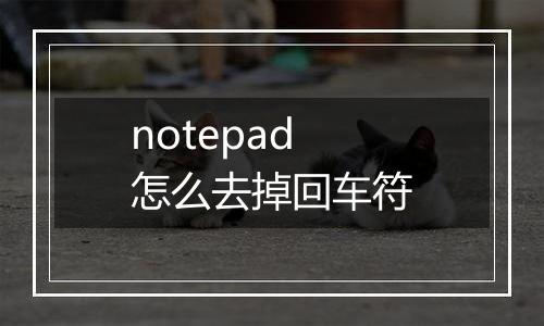 notepad怎么去掉回车符