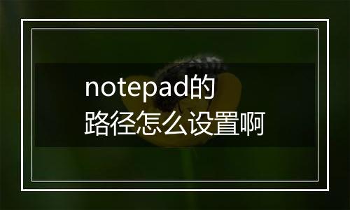notepad的路径怎么设置啊