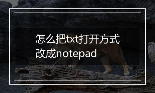 怎么把txt打开方式改成notepad