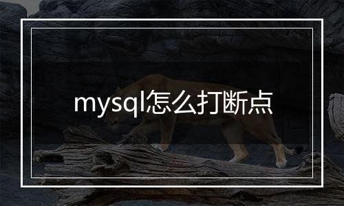 mysql怎么打断点