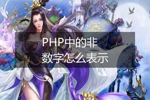 PHP中的非数字怎么表示