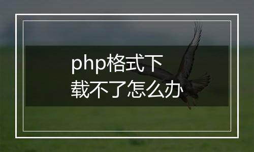 php格式下载不了怎么办
